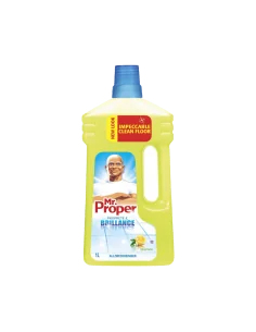 MR. PROPER 1L