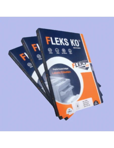 ETICHETE 10/A4 FLEKS AUTOADEZIVE 100COLI/TOP