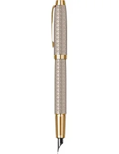 Premium Warm Silver GT Stilou 2