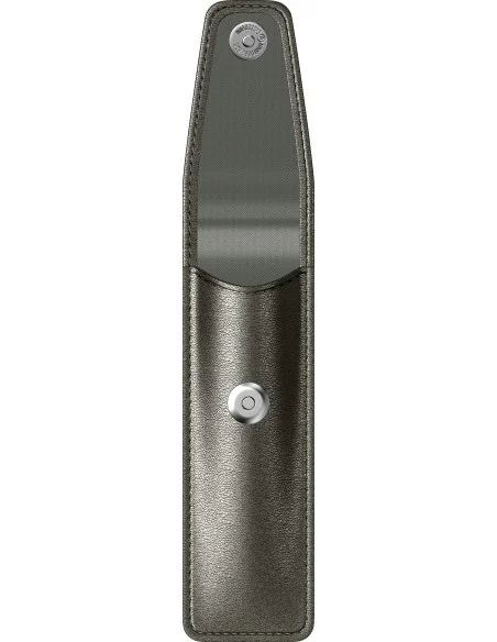 Etui Economic Silver-Grey