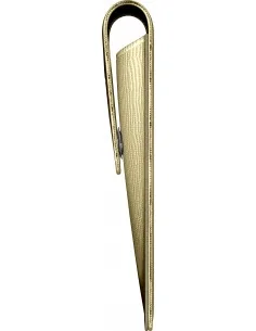 Etui Economic Fuzzy Gold 2