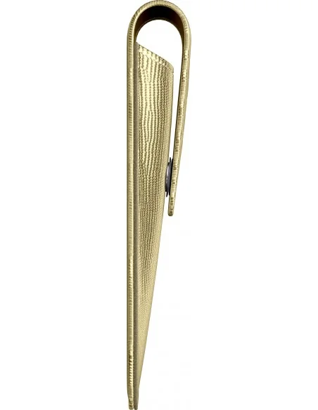 Etui Economic Fuzzy Gold