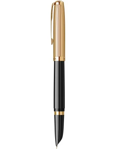 DeLuxe Black GT Stilou