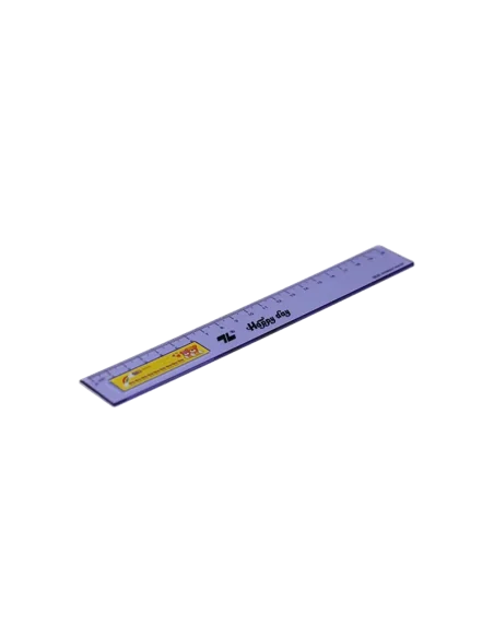 RIGLA 20CM COLOR PLASTIC C-SR02