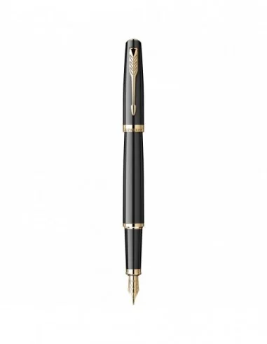 Stilou Parker Meridian Black GT