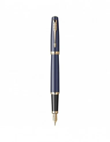Stilou Parker Meridian Blue GT