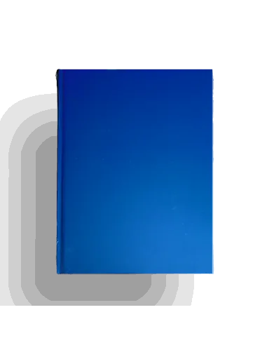 REGISTRU A4 100 FILE MATEMATICA