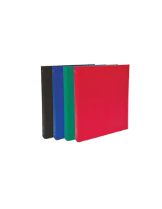 CAIET MECANIC A4 2 INELE PP