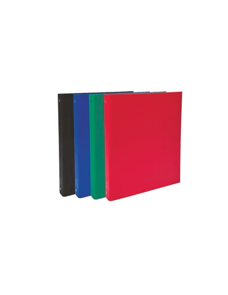 CAIET MECANIC A4 2 INELE PP