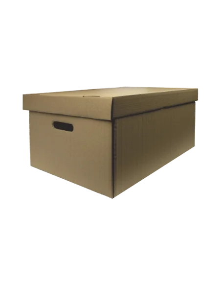 CONTAINER ARHIVARE 400X335X290MM CAPAC DETASABIL SI MANER