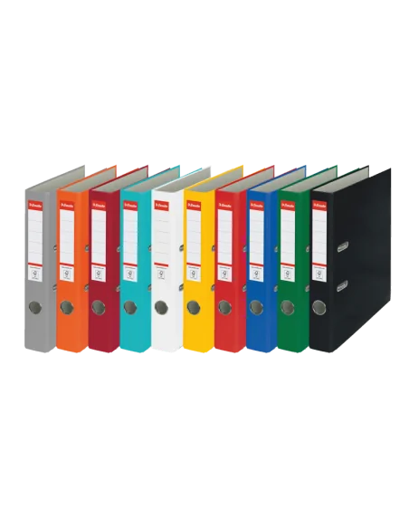 BIBLIORAFT PLASTIFIAT 5CM ESSELTE ECO