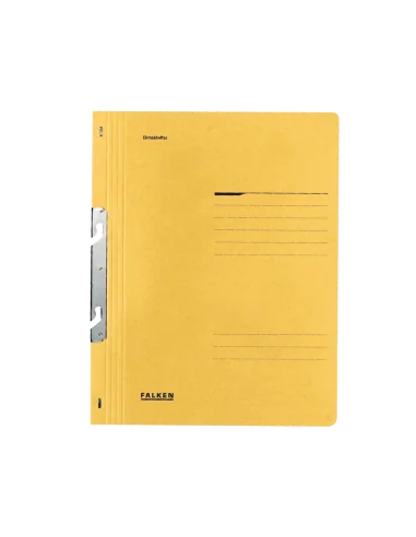 DOSAR 1/1 CARTON COLOR FALKEN/EXACOMPTA
