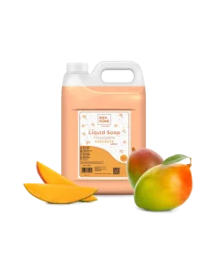 SAPUN LICHID 5L IDEA HOME MANGO