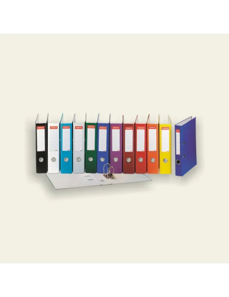 BIBLIORAFT PLASTIFIAT 5CM ESSELTE