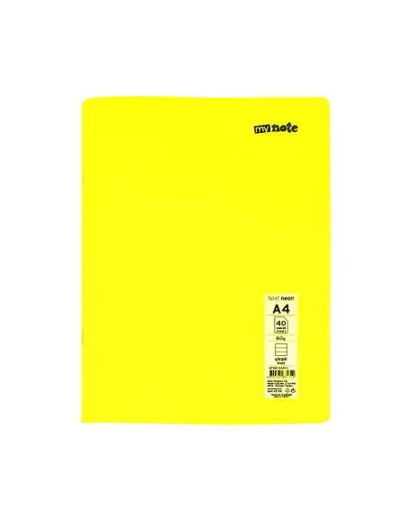 CAIET A4 100 FILE MATEMATICA COPERTA PVC