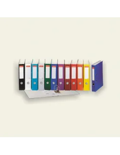 BIBLIORAFT PLASTIFIAT 7.5CM ESSELTE ECO