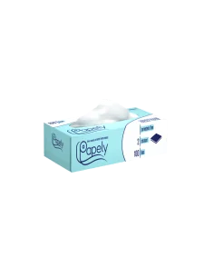 SERVETELE CUTIE 2 STRATURI 100BUC