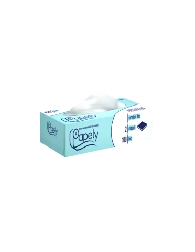 SERVETELE CUTIE 2 STRATURI 100BUC