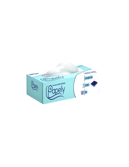 SERVETELE CUTIE 2 STRATURI 100BUC