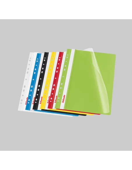 DOSAR PLASTIC MULTIPERFORATII ESSELTE