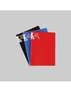 DOSAR PLASTIC CU 30 FILE