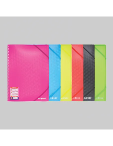 DOSAR PLASTIC CU 20 FILE SPIRALATE