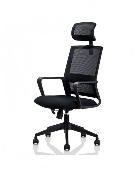 SCAUN BIROU EXECUTIVE SPATAR MESH, SIST ROTI NYLON, TETIERA 4503 DELI