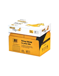 HARTIE COPIATOR A4 EKON 80GR/MP 2