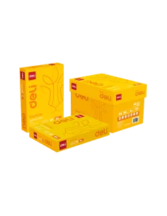 HARTIE COPIATOR A4 DELI 80GR/MP